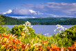 colorful landscape abroad a lake and deep woods of the High Laurentians under a cloudy blue sky, Quebec, Canada
