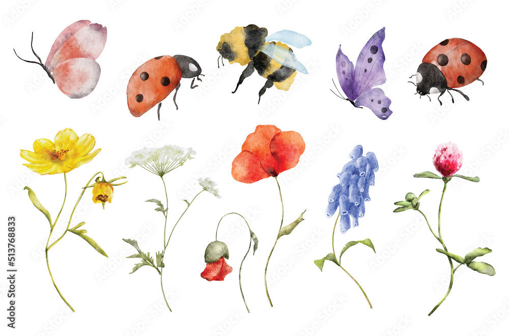 wildflowers watercolor botanical illustration with butterfly and ...