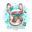Cute french bulldog with butterflies.Summer is coming illustration. Stylish image for printing on any surface
