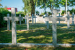 Rząd symbolicznych krzyży na cmentarzu ofiar zbrodni wojennych