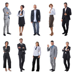 Wall Mural - Business people portraits on white