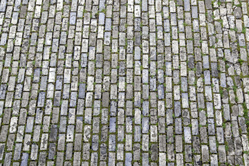 Wall Mural - Paving stones on the street for pedestrians