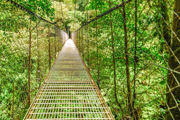 hanging bridge in costa rican rainforest