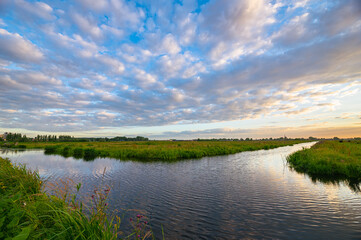 Wall Mural - altocumulus sheep clouds over water-filled ditches and grasslands in the dutch countryside