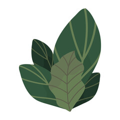 Canvas Print - leaves natural icon