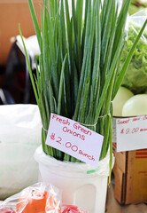 Poster - market green onions