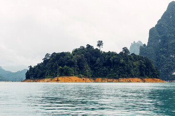 Canvas Print - rain forest