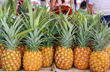 Poster - market pineapples