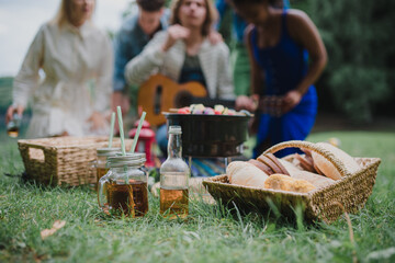 Close-up of picnic near lake in summer, young friends in background eating and playing guitar.