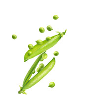 Uncovered Pea Pod In The Air On A White Background