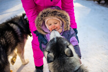 Cute Dog Licking Girl During Winter