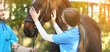 © New Africa - Veterinarians in uniform with beautiful brown horse outdoors. Banner design