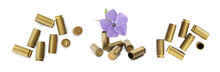 Set of bullet shells and beautiful flower on white background, top view. Banner design