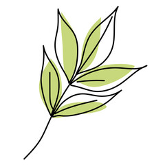 Green ash leaf isolated on white background. Leaves in linear art with the addition of colored spots. Vector illustration.