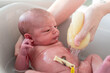 hands of a mother bathing her little newborn baby with a soft sponge and warm water, with the umbilical cord clamp still attached
