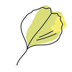 autumn alder tree leaves isolated on white background. green leaves in linear art with the addition 