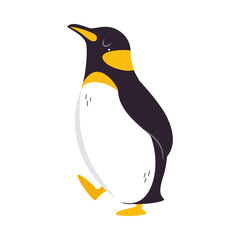 Canvas Print - Funny Emperor Penguin as Aquatic Flightless Bird with Flippers Waddling Vector Illustration