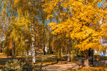 Poster - Colorful foliage in the autumn park