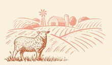 Engraving Farm Sheep. Farming Landscape With Barn