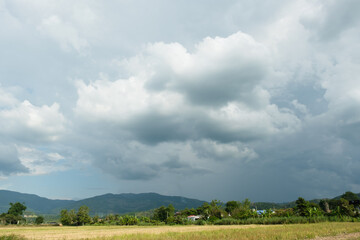 Wall Mural - cloud before rainy storm,gray clouds