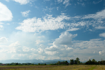Wall Mural - the white clouds have a quaint and rural shape. the sky is cloudy and blue