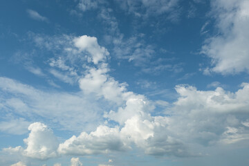 Wall Mural - the white clouds have a quaint and rural shape. the sky is cloudy and blue