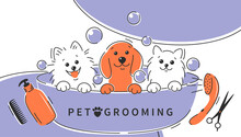 Pet Grooming. Cartoon Dogs And Cat Taking A Bath Full Of Soapy Suds. Animal Hair Grooming, Haircuts, Bathing, Hygiene. Vector Illustration