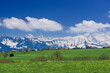 눈덮힌 산과 푸른 언덕의 스위스 풍경