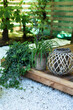 © stock_studio - porch of house decorated with lantern and green plants. Cozy garden corner. Patio of house with houseplants in pots in yard. Flowers and plants in pots on doorstep in terrace house. Autumn backyard