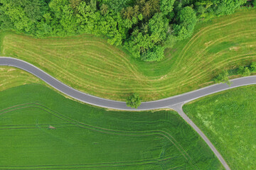 Wall Mural - Drone photo of the bright green wheat field separated by the road.