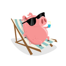 Funny Cartoon Pig Relaxing On Sunbed