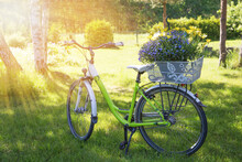 Bicycle With A Yellow Flower Basket In The Summer Garden