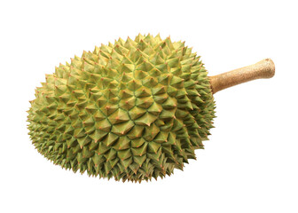 Durian isolated on white background