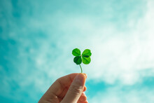 Four-Leaf Clover With Blue Sky Background. Symbol Of Good Luck.