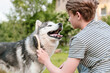 © Rodica - Young teenage boy combing dog at special brush outdoor in yard. Boy brushing husky with comb. Concept of care animal, home grooming, best pet for child, teenager and pet dog, favorite pet.
