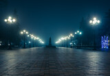 Fototapeta Londyn - The main alley of a night autumn park in a light fog. Footpath in a fabulous late autumn city park at night with latterns. Installation of the Ukrainian coat of arms with illumination. Kyiv, Ukraine.