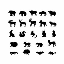 Vector Set Of Black Silhouettes Of Wildlife Animals.