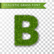 Grass letter B, alphabet 3D design. Capital letter text. Green font isolated white transparent background, shadow. Symbol eco nature environment, save the planet. Realistic meadow Vector illustration