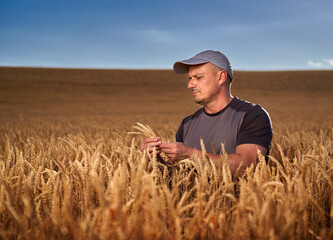 Wall Mural - Happy farmer in a wheat field