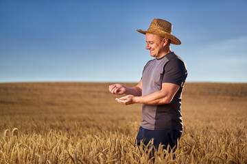 Wall Mural - Happy farmer in a wheat field