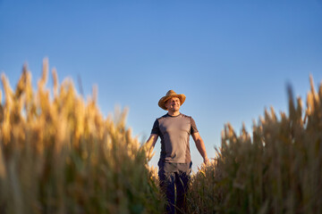 Wall Mural - Happy farmer in a wheat field