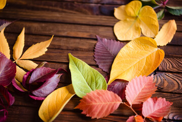 Sticker - Autumn frame for your idea and text. Autumn fallen dry leaves of yellow, red, orange, laid out on the left side of the frame on an old wooden board of brown color.