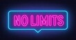 © TanyaFox - No limits neon sign in the speech bubble on black background.