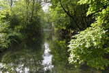 Fototapeta Krajobraz - Bachlauf im Wald