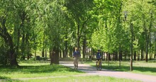 Men On Bicycles Ride In Morning Park. People Moving On Bikes Through Green Park Nature In Sun Summer Day. Spring Sports Leisure Two Male Friends In Sunny Weather. 4k Footage. Active Weekend Lifestyle 
