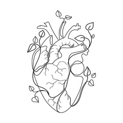 Human heart with branches growing plant leaves line art vector illustration isolated on white background. Abstract anatomical heart liner drawing, black and white sketch, great design for any purposes