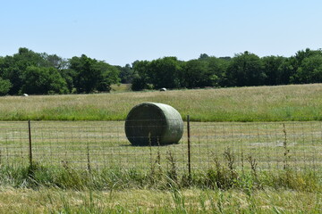 Canvas Print - Hay Bale in a Farm Field