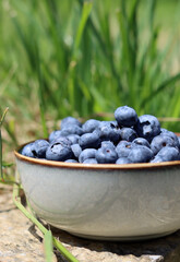 Sticker - Ceramic bowl full of blueberry. Summer day in the garden. Healthy eating concept. 