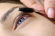 eye of the model with the formation of cilia, the master combs the eyelashes with a brush