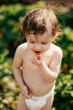 © Ananass - a little girl wearing only one diaper tastes sweet ripe strawberries in the village garden